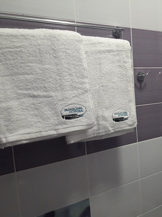 gostinica nikolay gyryanov